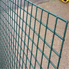 Welded Panel Sheets PVC Fence Garden 3D Bend Wire Mesh Fence