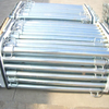 Wholesale Middle East Type/German Type Galvanized Adjustable Steel Props